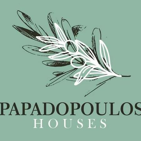 Papadopoulos Houses Nikíti Kültér fotó