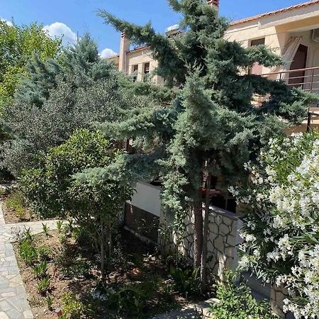 Papadopoulos Houses Nikíti Kültér fotó