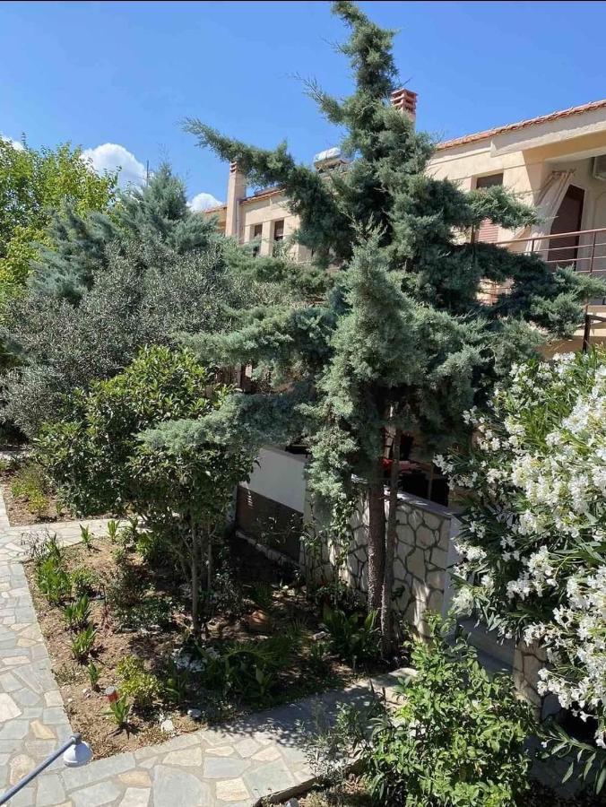 Papadopoulos Houses Nikíti Kültér fotó